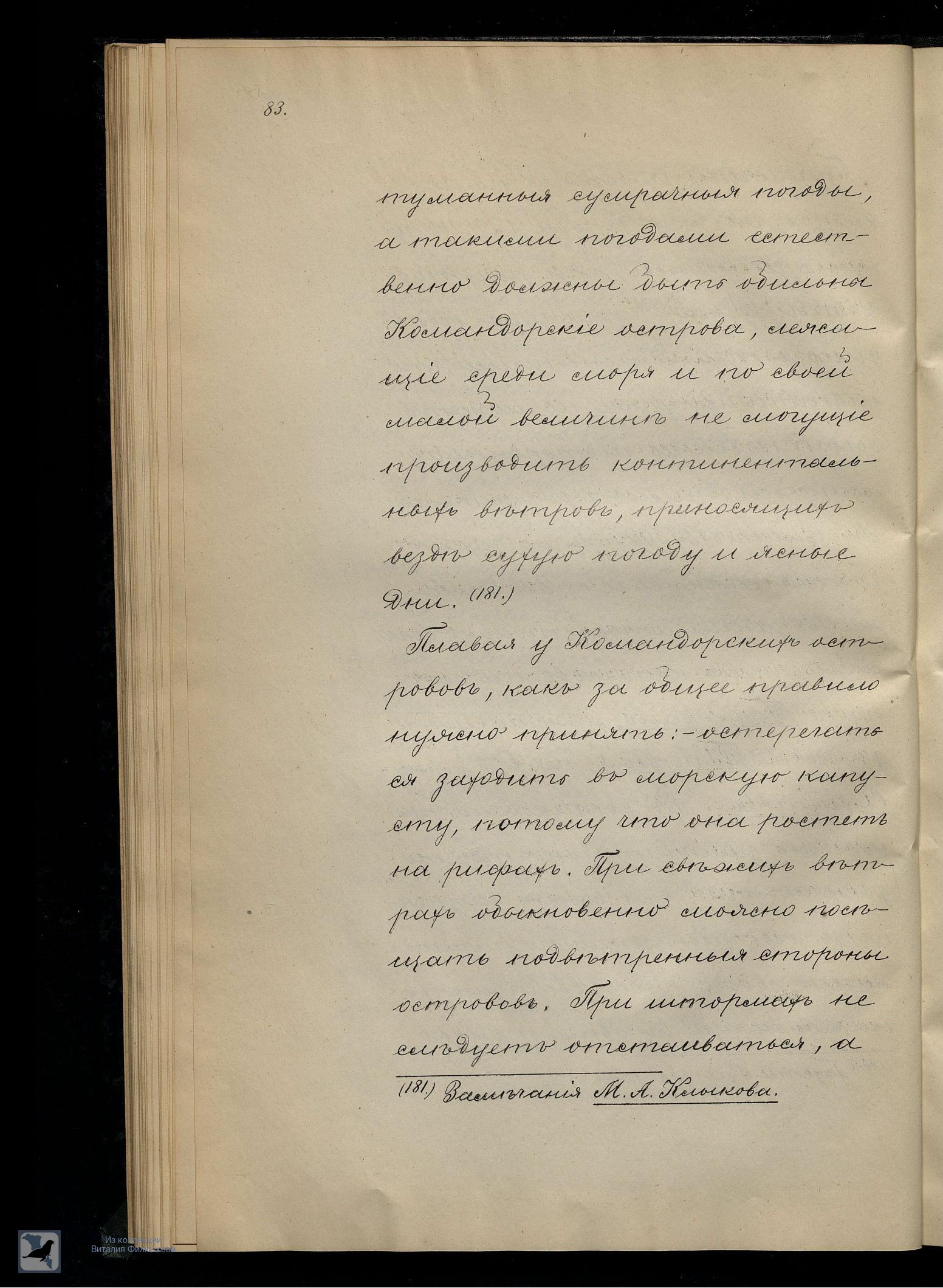 Страница 101