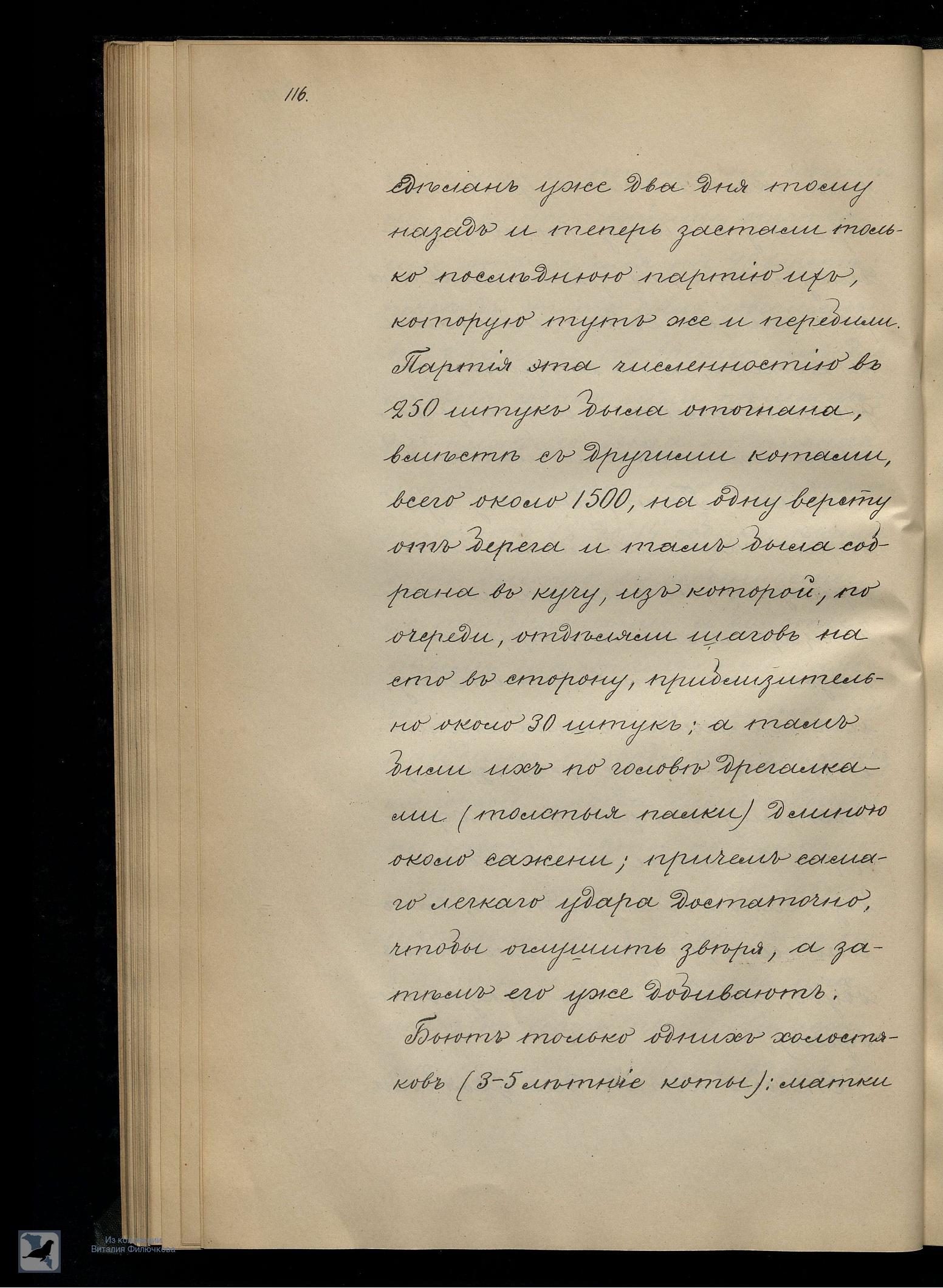 Страница 135