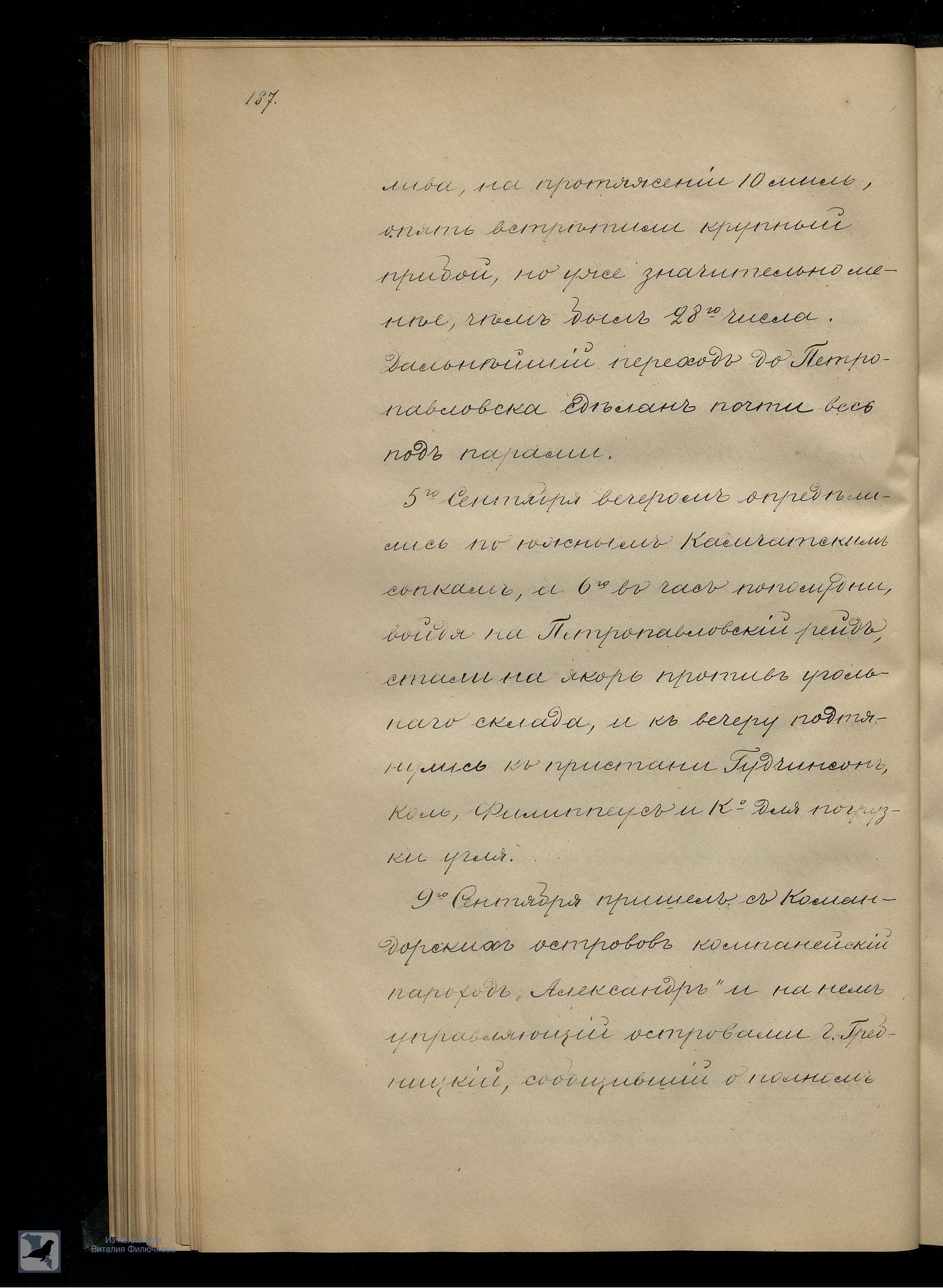 Страница 207