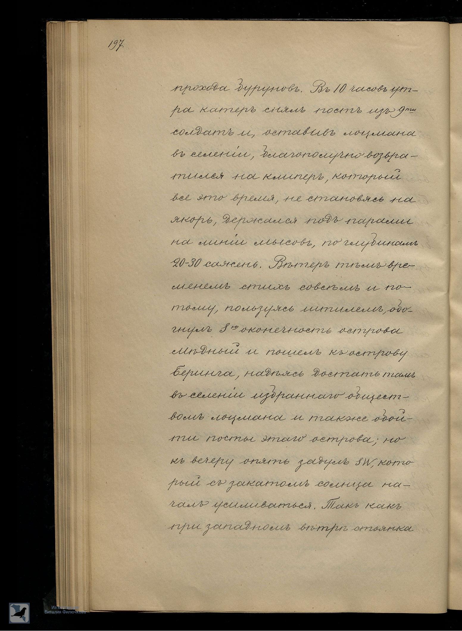 Страница 217