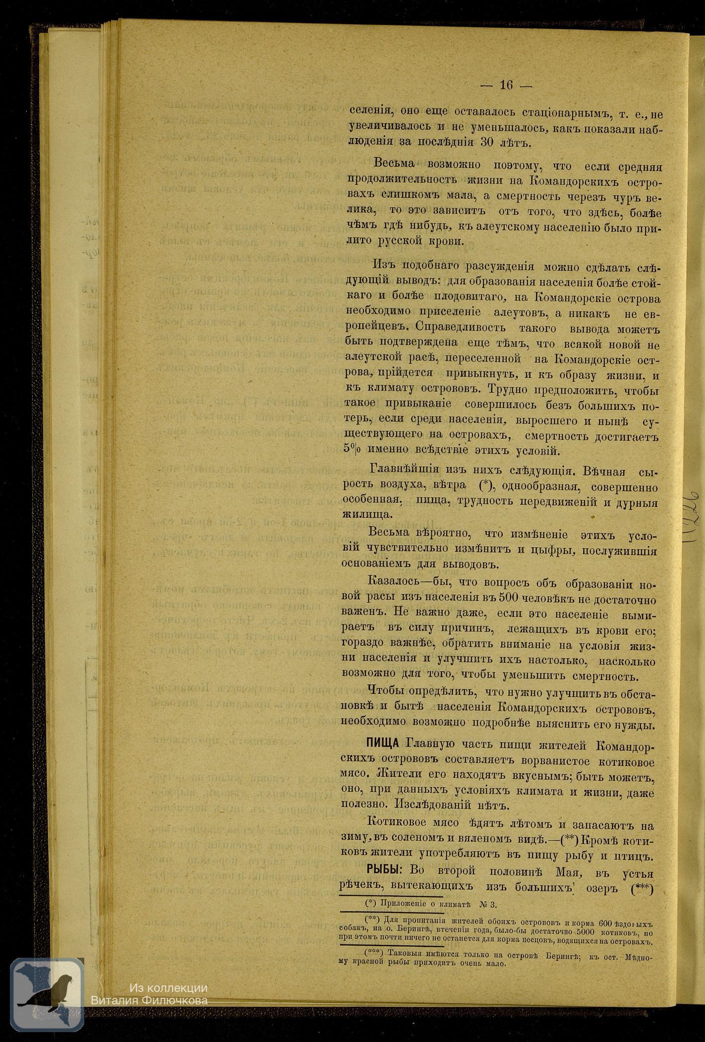 Страница 26