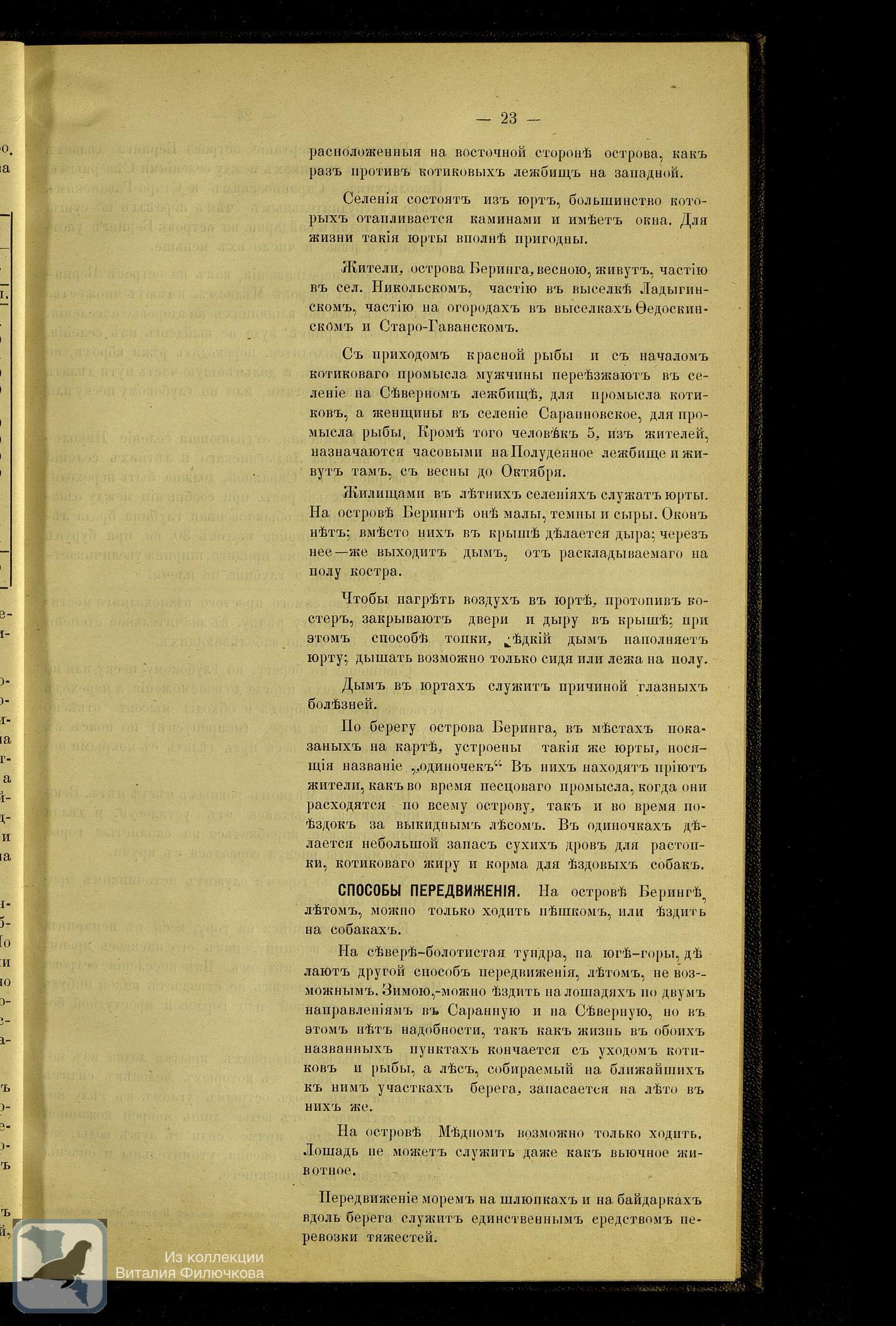 Страница 33