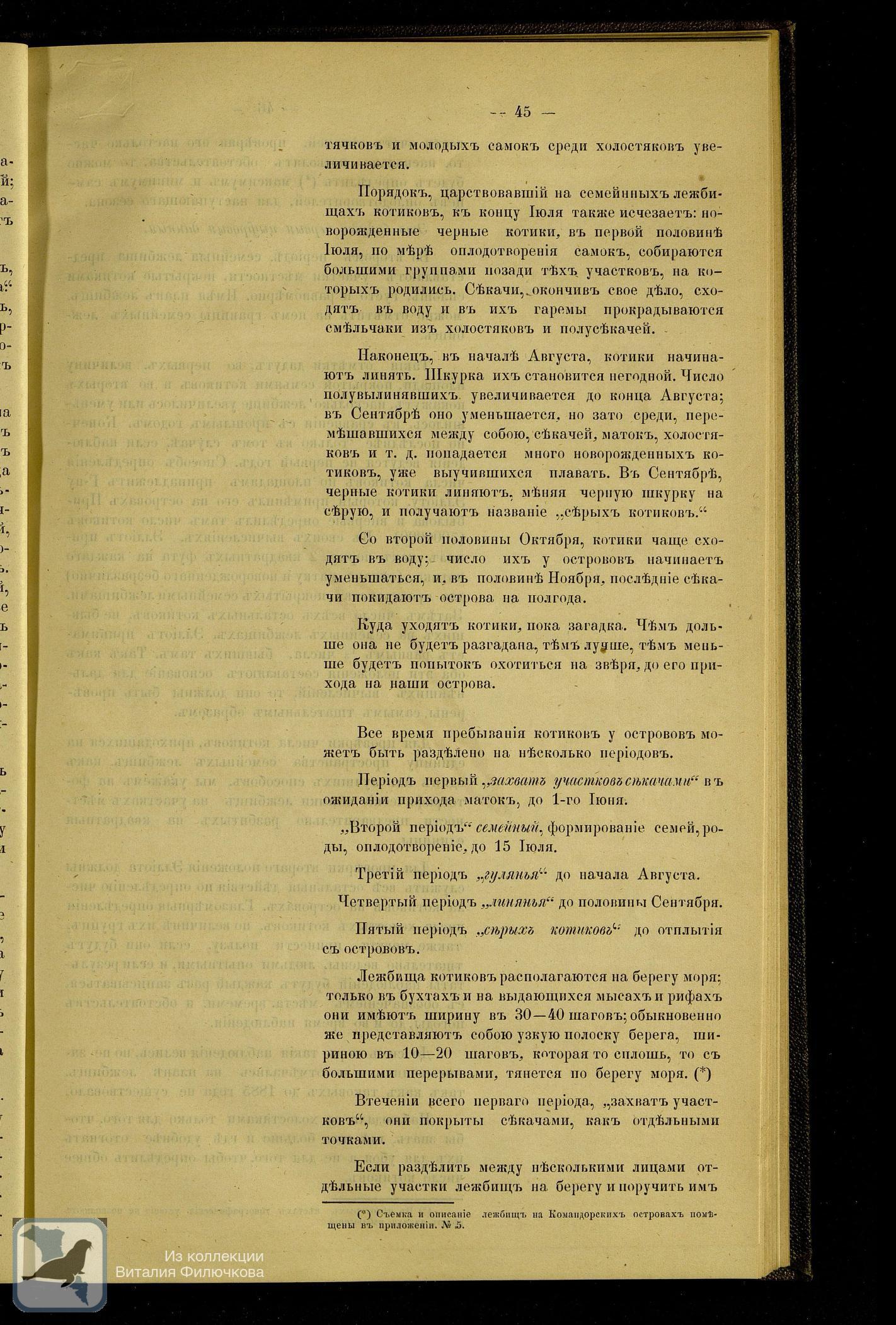 Страница 55