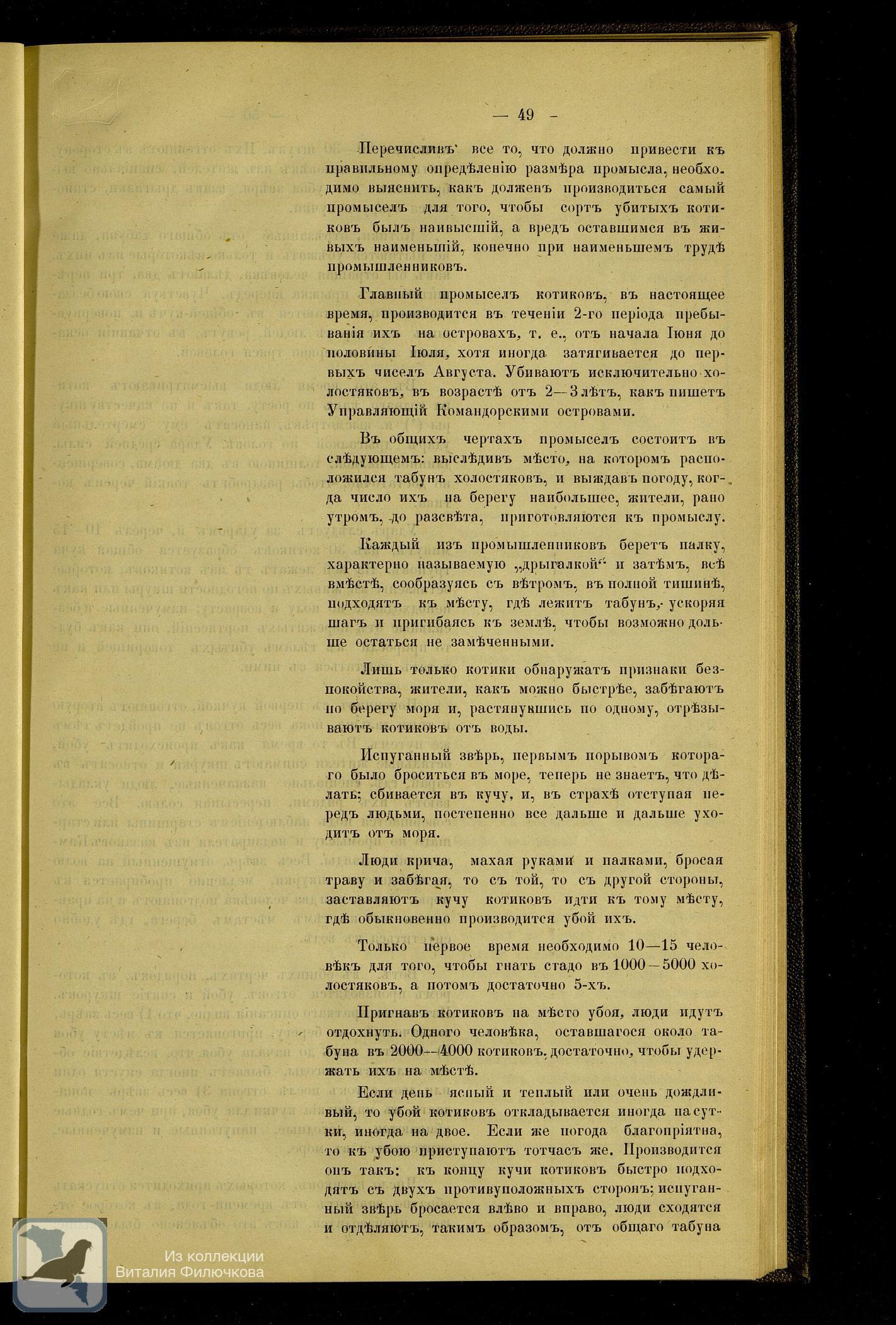 Страница 61