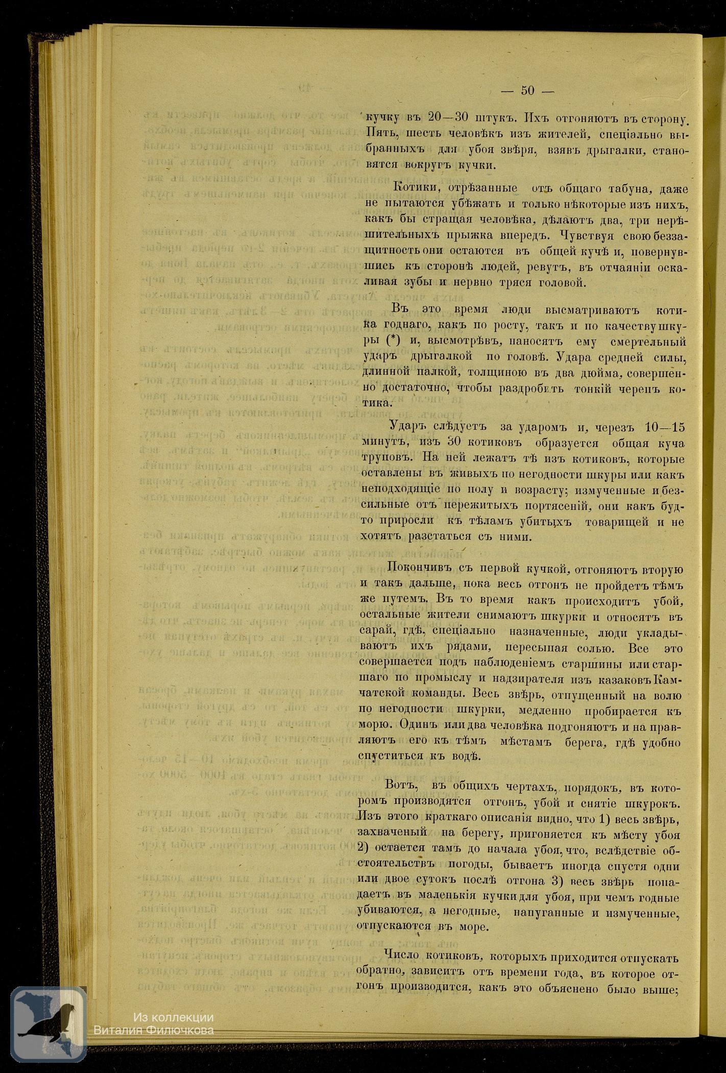 Страница 62