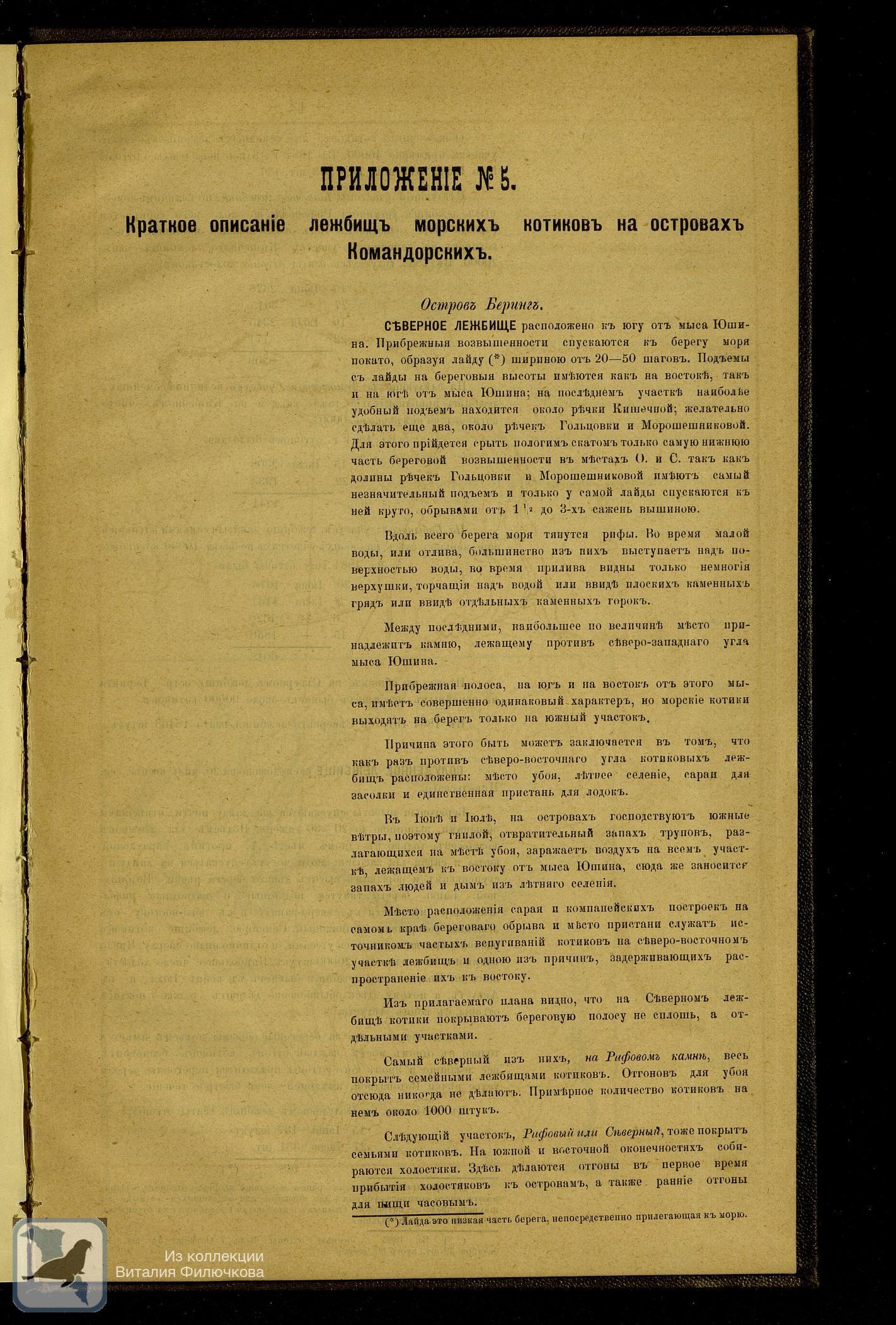 Страница 116