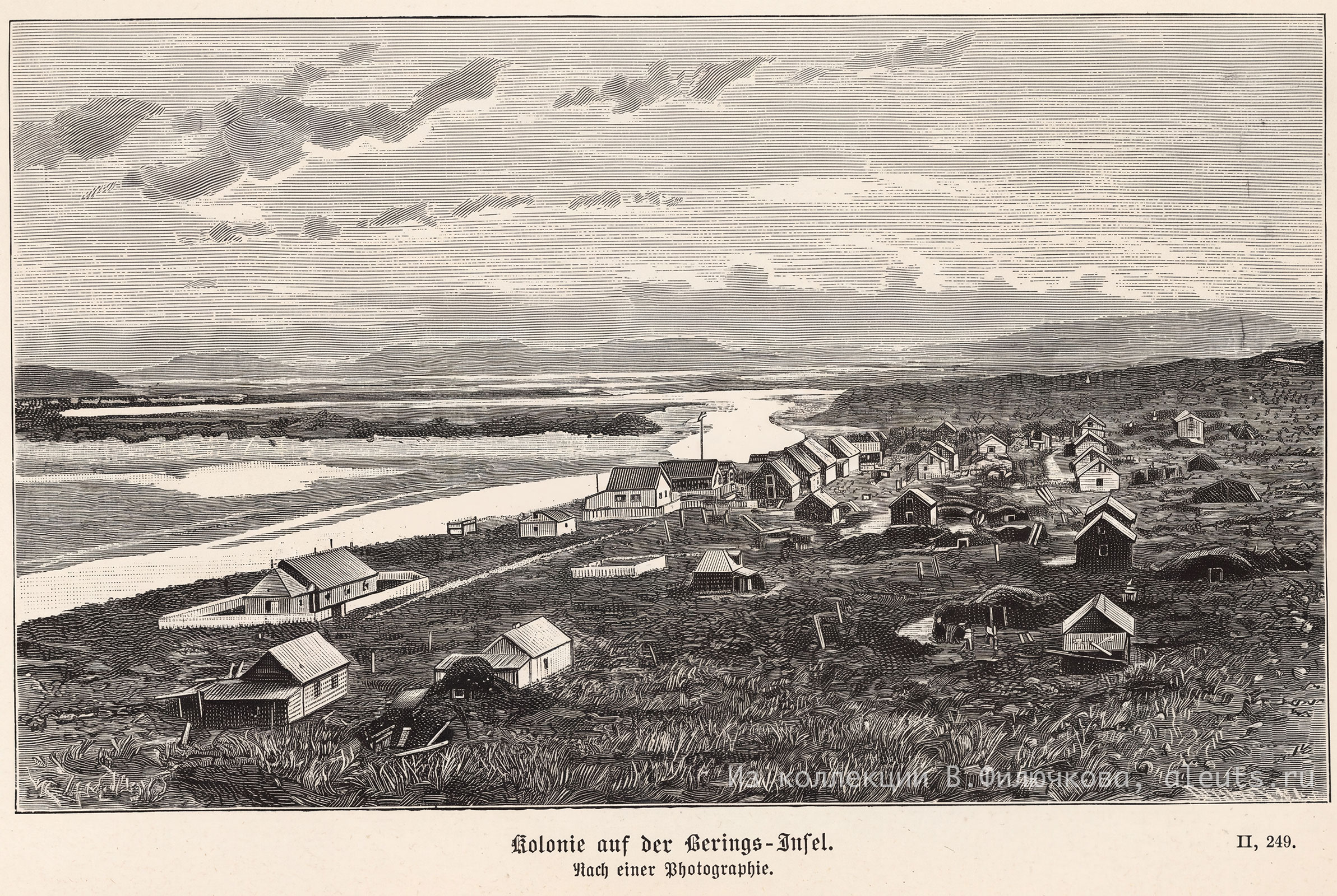 Colonie auf BeringInsel