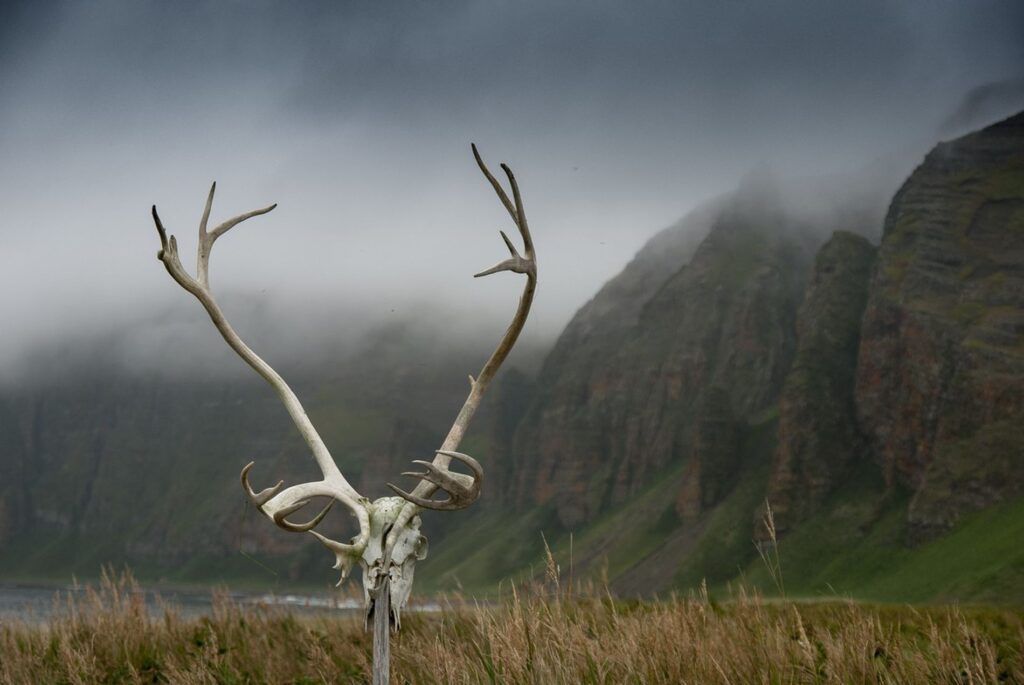 Альтернативный текст
